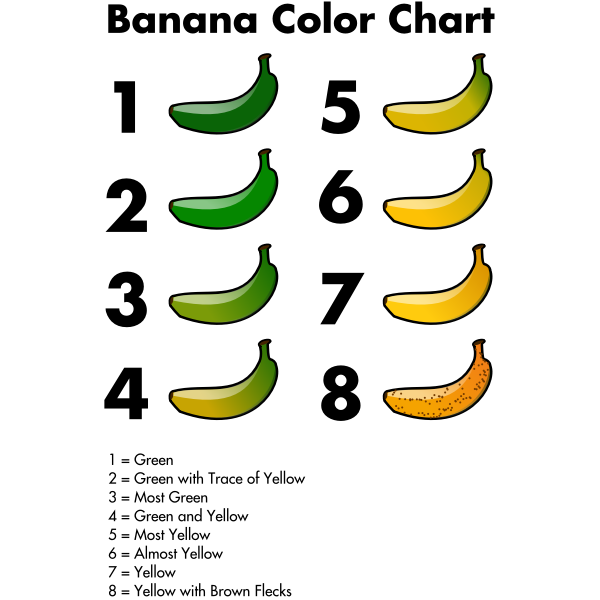 SVG Banana color chart graphics