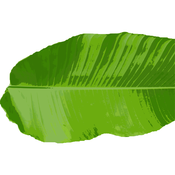 SVG Banana leaf