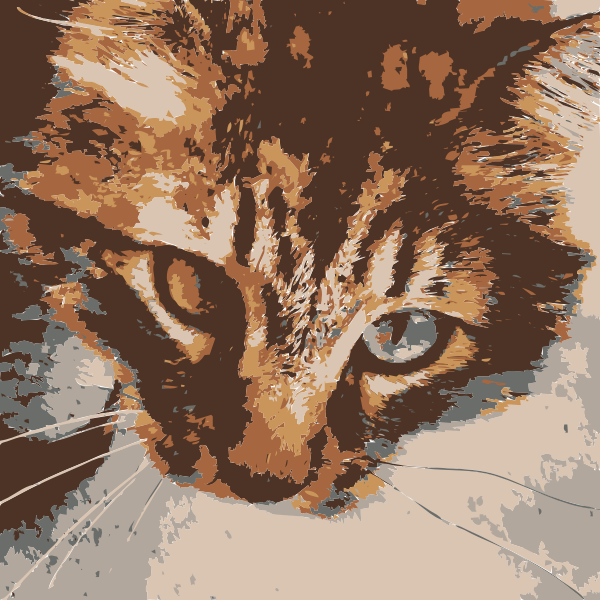 SVG Barack the cat