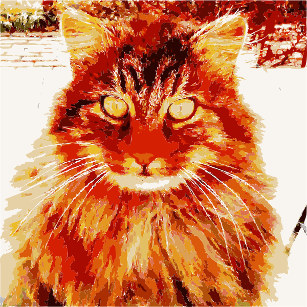 SVG Barack the cat says 2015011411