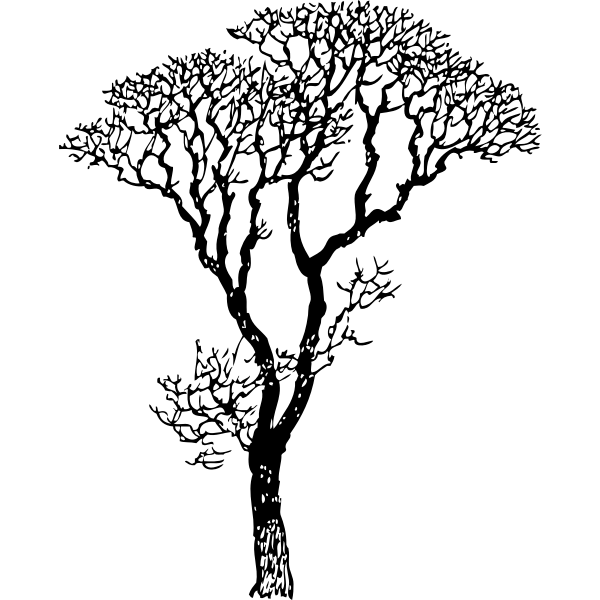 SVG bare tree
