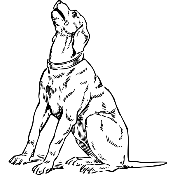 SVG Barking dog vector image