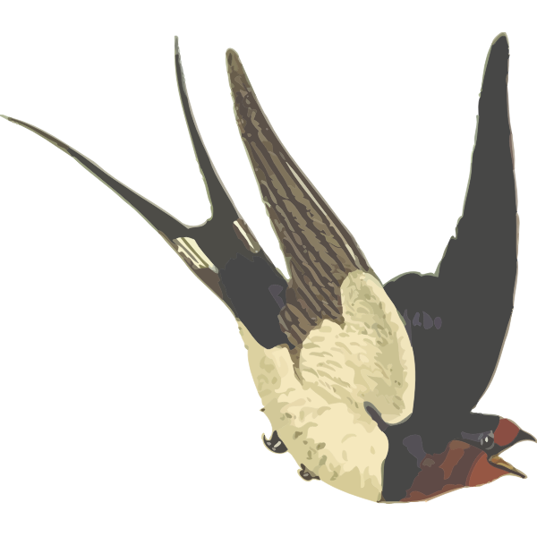 SVG Barn swallow with red head vector illustration