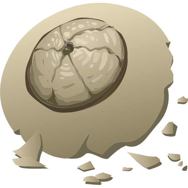 SVG Barnacle