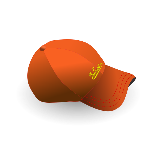 SVG Baseball cap with text vector image