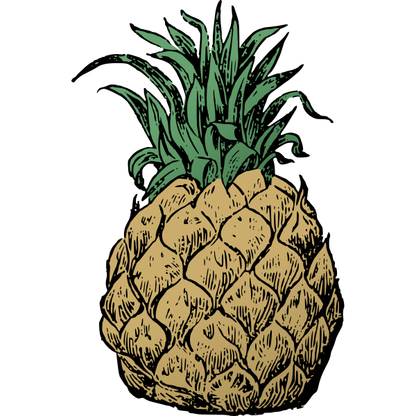 SVG Basic pineapple