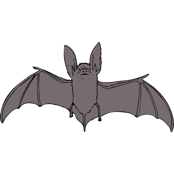 SVG Bat with open wings vector drawing