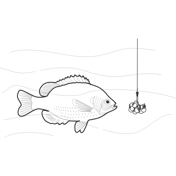 SVG Beaded fish bait