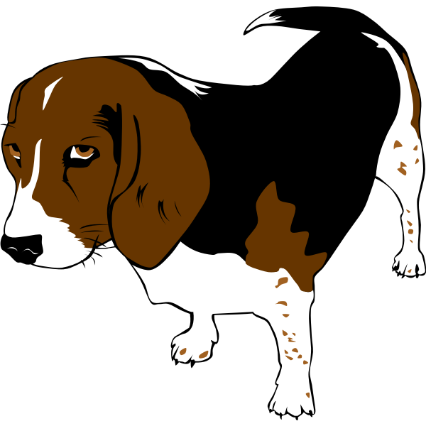SVG Beagle dog vector clip art