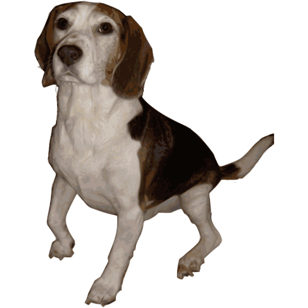 SVG Beagle Medium Version