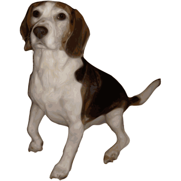 SVG Beagle Small Version