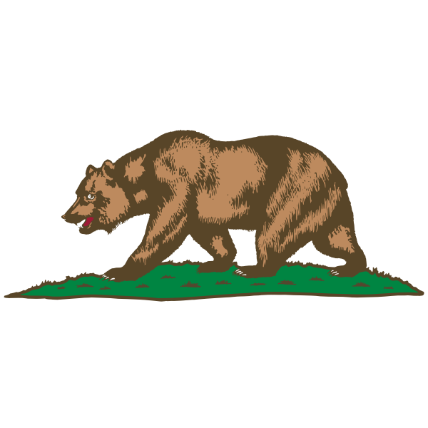 SVG Bear walking on grass vector image