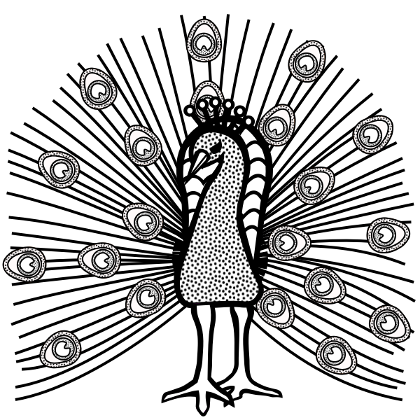SVG Beautiful bird