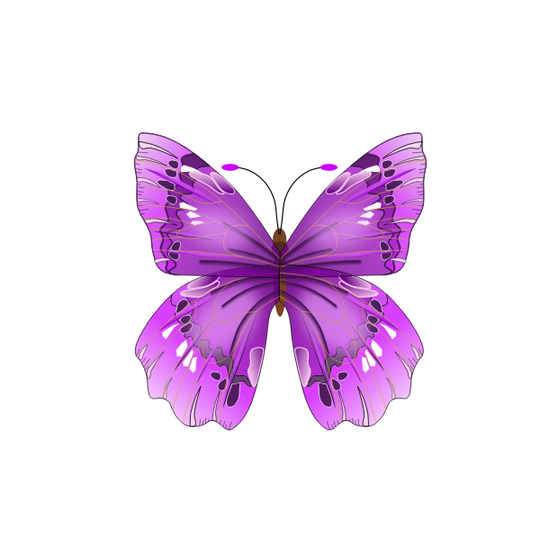 SVG Beautiful purple butterfly