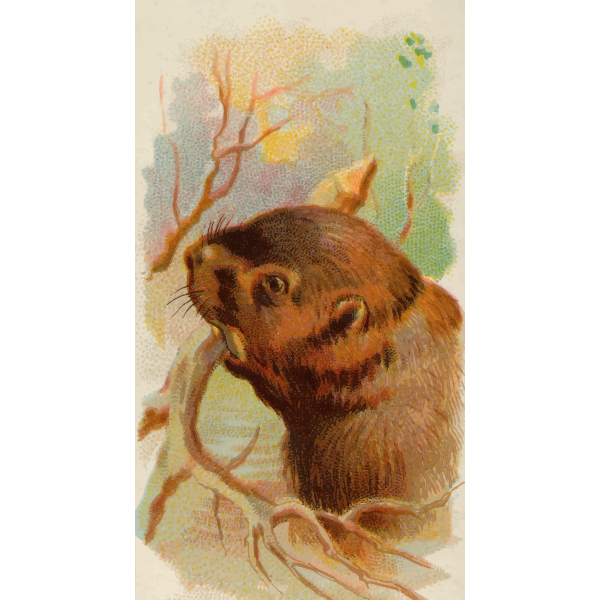 SVG Beaver chewing