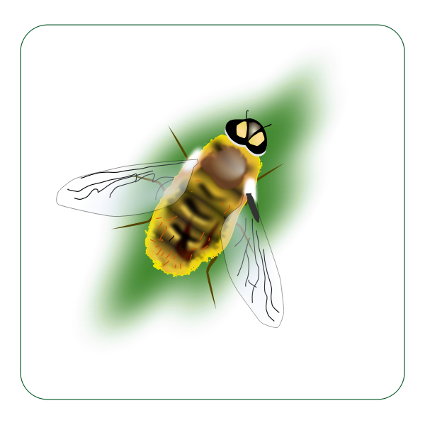 SVG bee