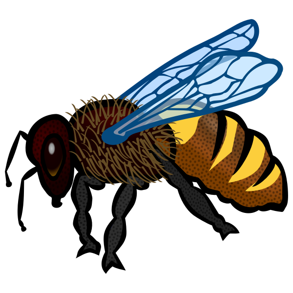 SVG Bee close-up image