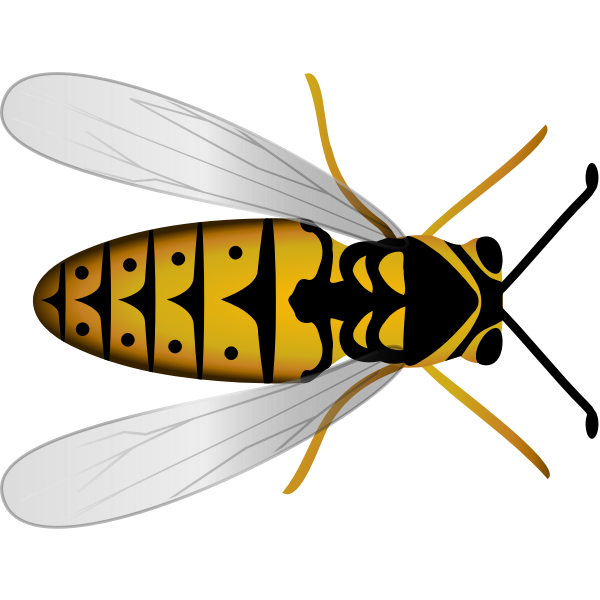 SVG Bee top view