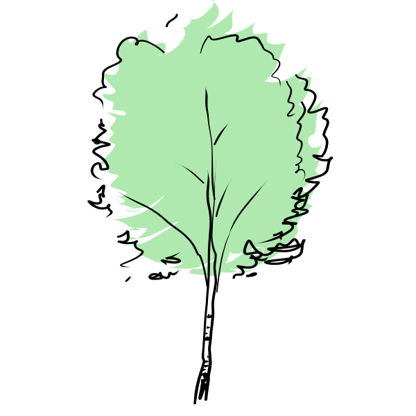 SVG Beech