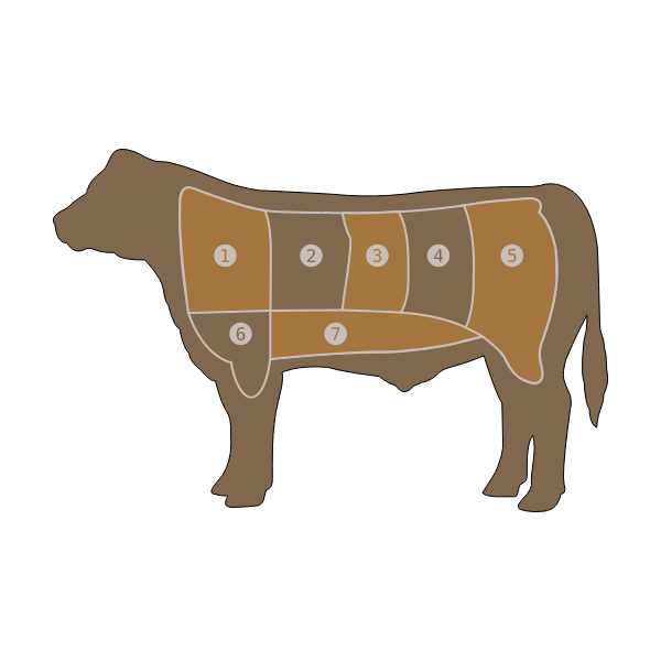 SVG Beef Chart Vector