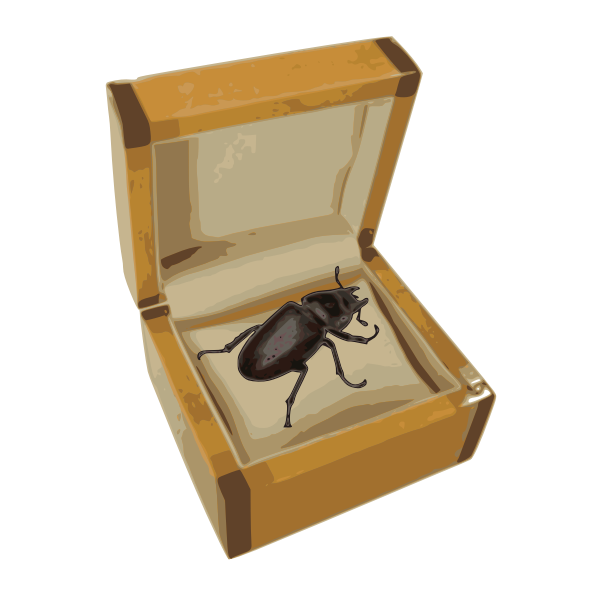 SVG Beetle in a box vector image