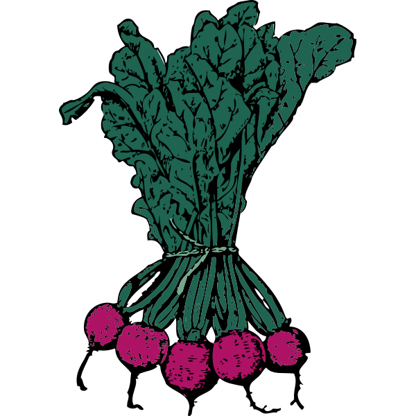 SVG beets