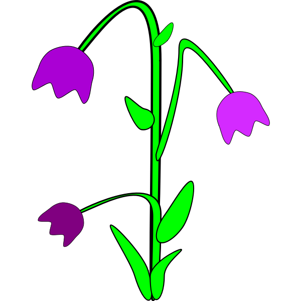 SVG Bellflower vector graphics