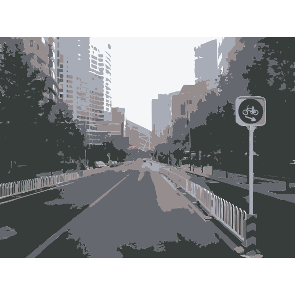 SVG Bike Lane Beijing China