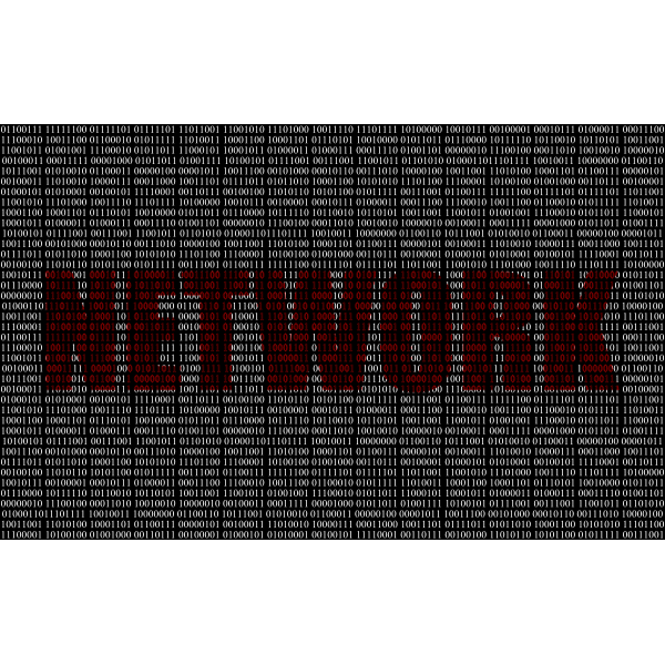 SVG Binary Network