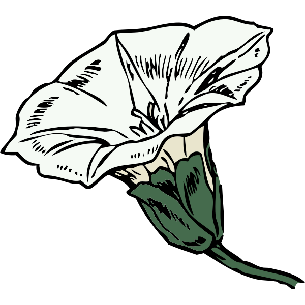 SVG bindweed