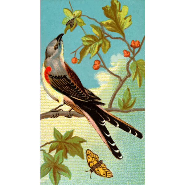 SVG Bird and butterfly