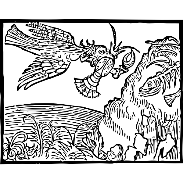 SVG bird and lobster