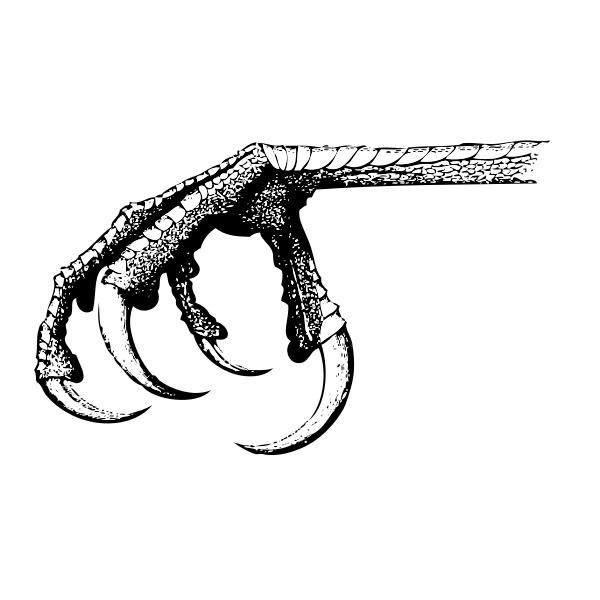 SVG Bird claw