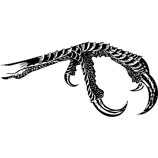 SVG Bird claw silhouette