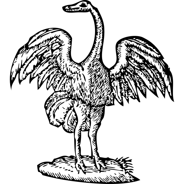 SVG Bird engraving vector