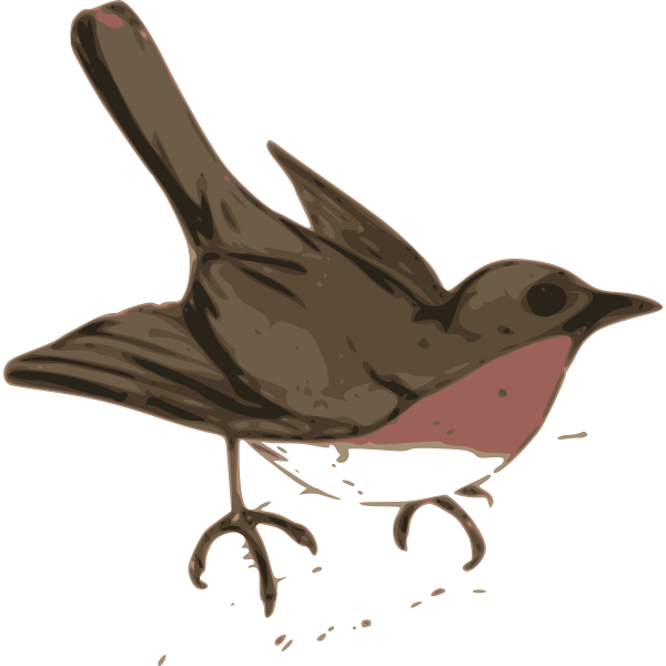 SVG bird illustration