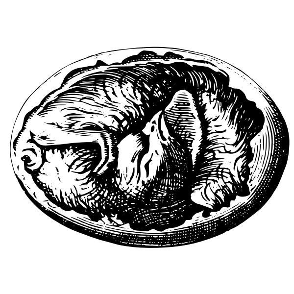 SVG Bird in egg