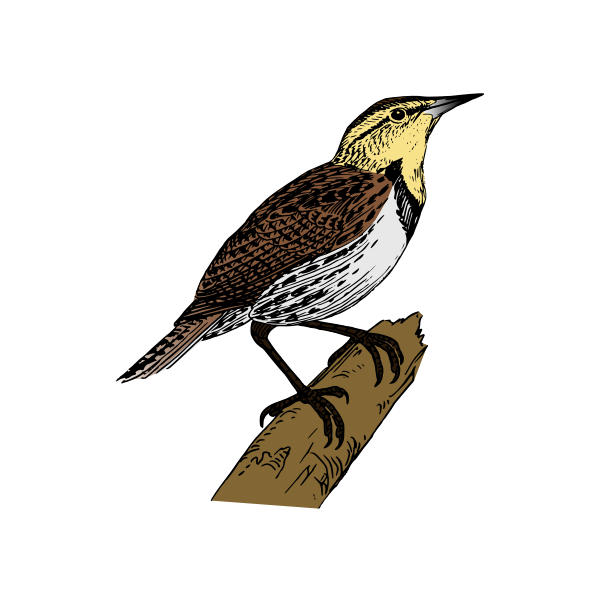 SVG Bird on a branch