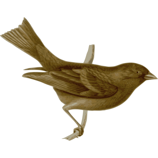 SVG Bird on branch