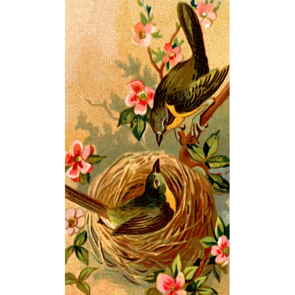 SVG Birds in nest