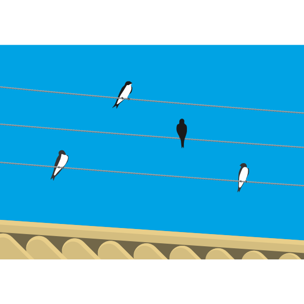 SVG Birds standing on wires vector clip art