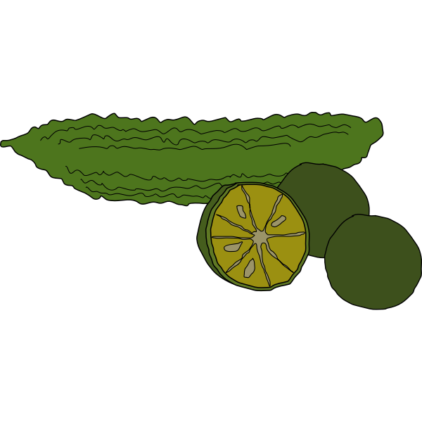 SVG bitter melon and shiikuwasha