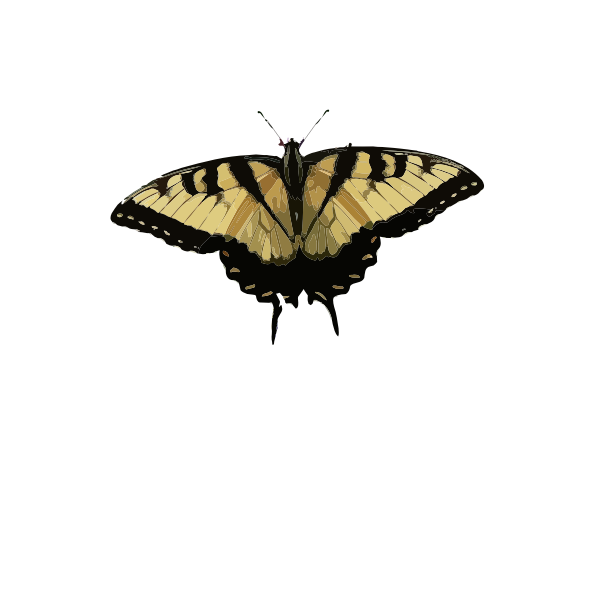 SVG Black and brown butterfly