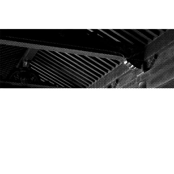 SVG Black and white ceiling