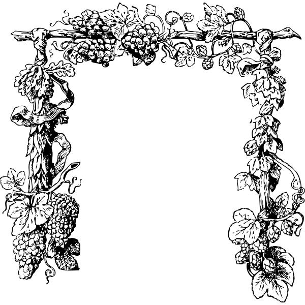 SVG Black and white drawing of grapes