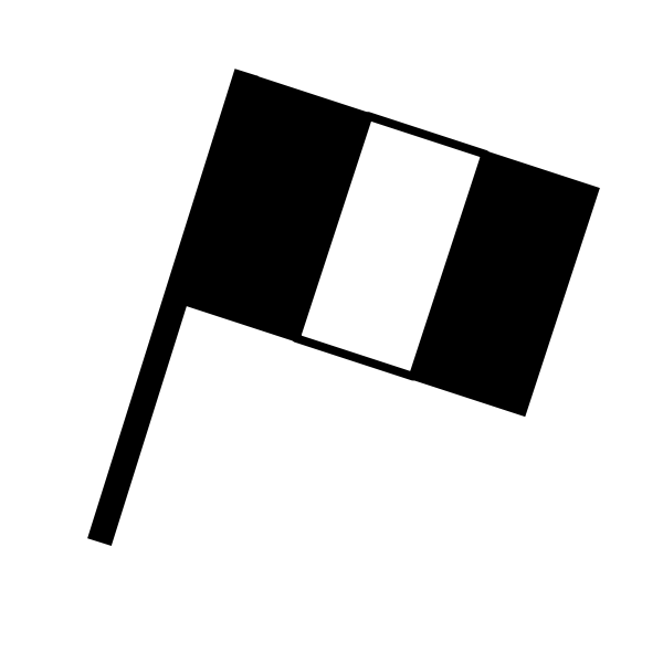 SVG Black and white flag vector image