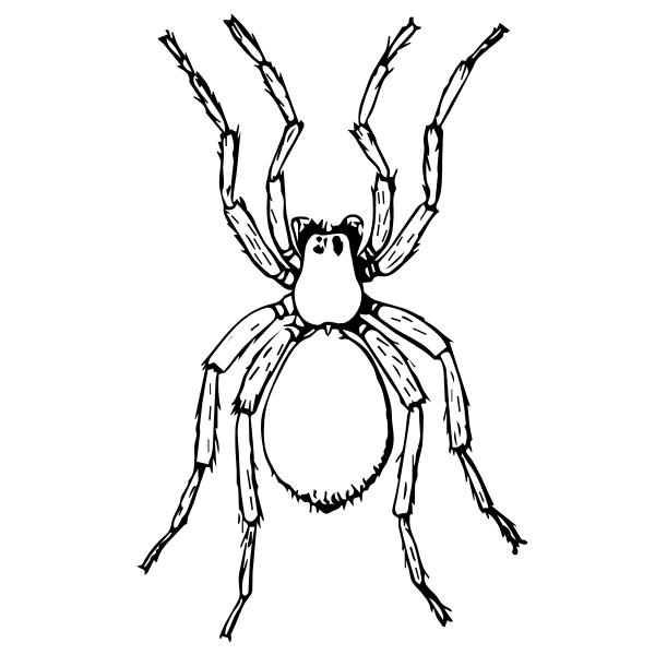 SVG Black and whte spider
