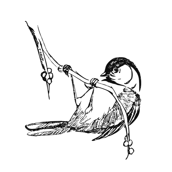 SVG Black-capped chickadee vector graphics