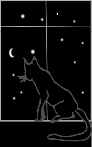 SVG Black cat sitting by the window at night