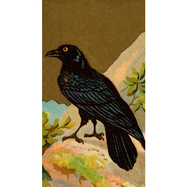 SVG Black raven